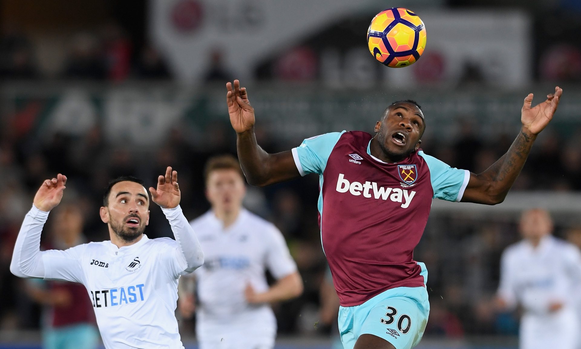 游泳世界杯 游泳世界杯